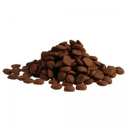 FITMIN For Life Adult Large Breed granule pro psy 12 kg