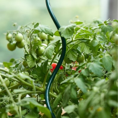 <b>Zahradní tyče a spirály</b> Stabilní opora pro váš rostoucí ráj